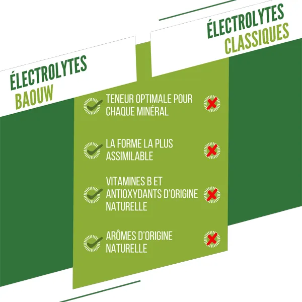 Pastilles d'electrolytes - Citron Vert & Menthe - Image 7