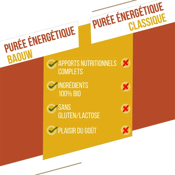 Purée Énergétique BIO (90g) - Mangue- Passion-Gingembre - Image 5