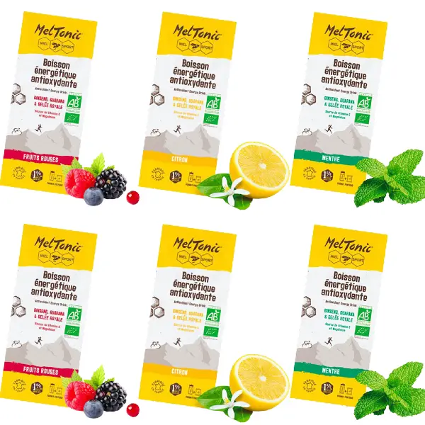 Meltonic - Boisson Energétique Antioxydante (6x35g) - Discovery Pack
