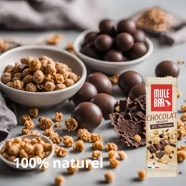 Barre Protéinée Vegan (42g) - Chocolat - Image 3