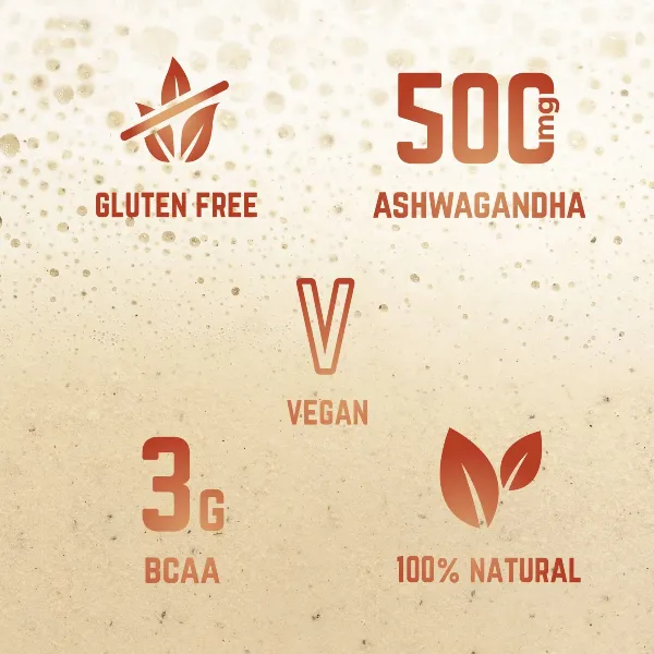 Molto - Recovery Protein Shake (36g) - Vanilla & Cinnamon - Image 3