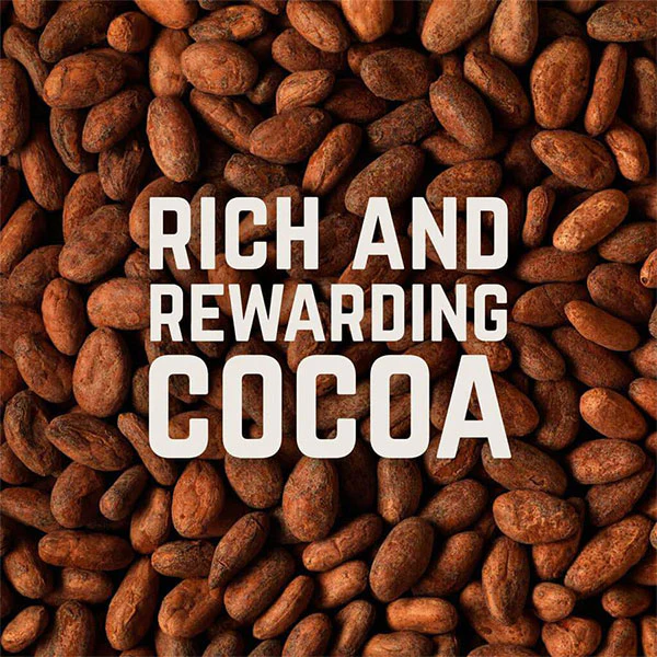 Nova - Recovery Protein Shake (67g) - Banana & Cocoa - Image 4